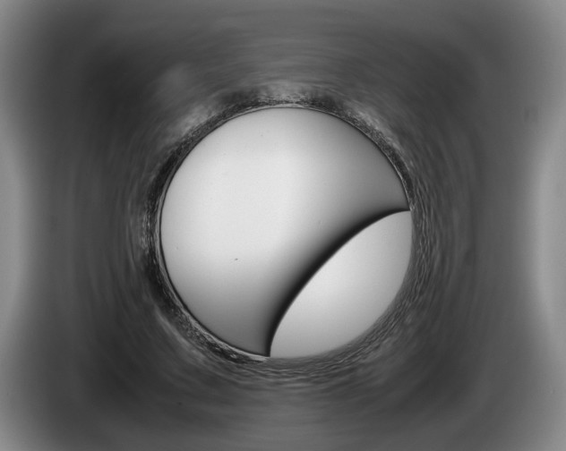 X0000085310683200703091054