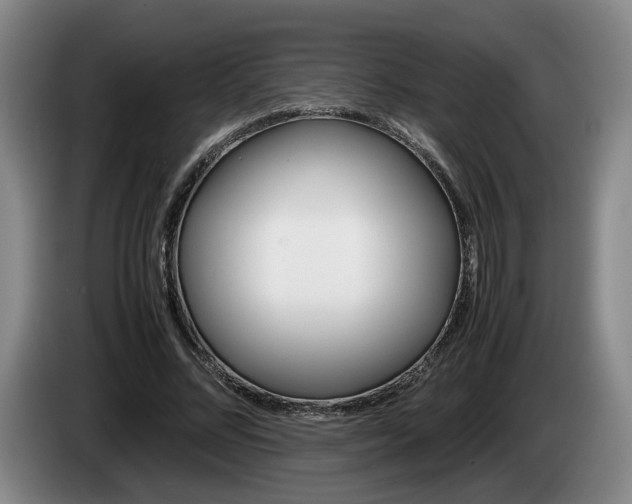 X0000085310684200703091054