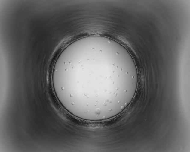 X0000085310686200703091054