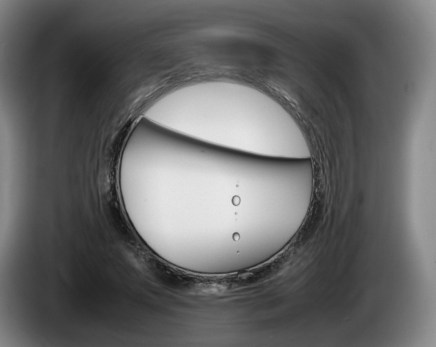 X0000085310687200703091054