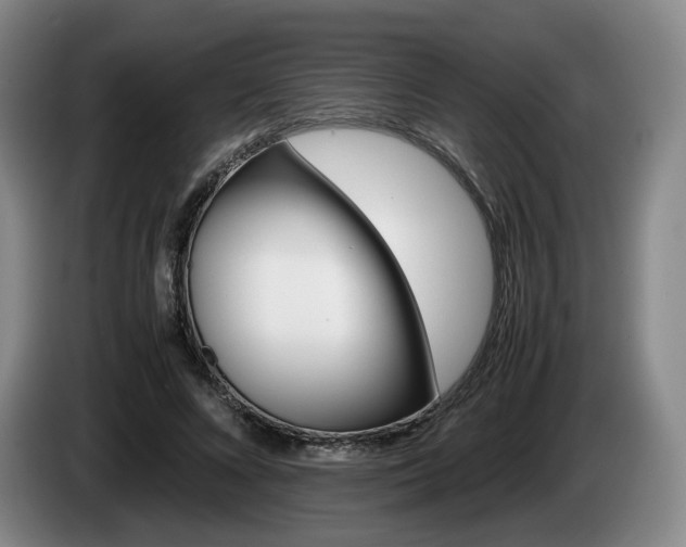 X0000085310688200703091054