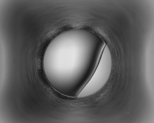 X0000085310689200703091054