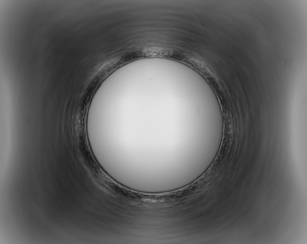 X0000085310690200703091054