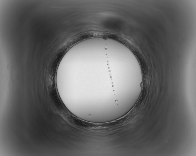 X0000085310691200703091054