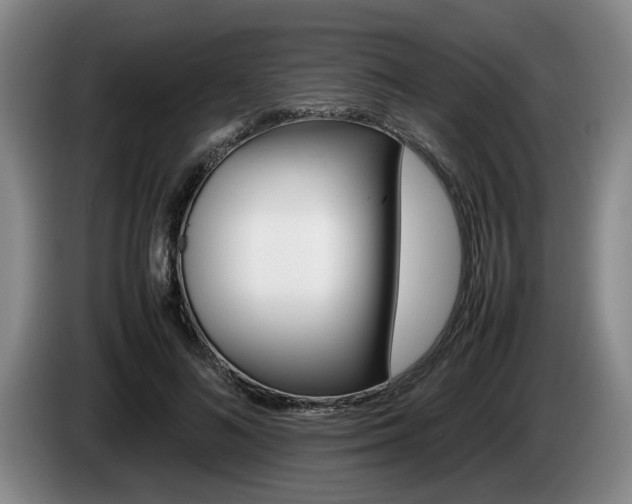 X0000085310692200703091054