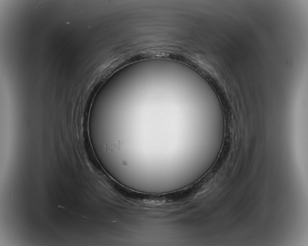 X0000085310693200703091054