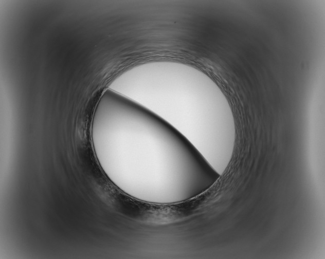 X0000085310695200703091054