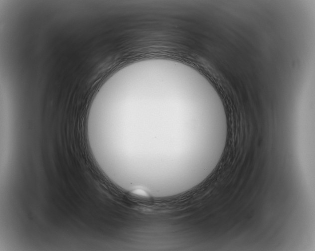 X0000085310696200703091054