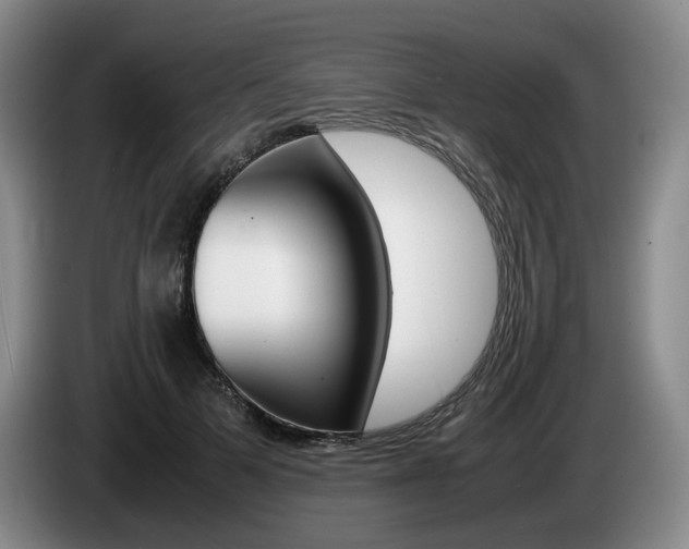 X0000085310697200703091054