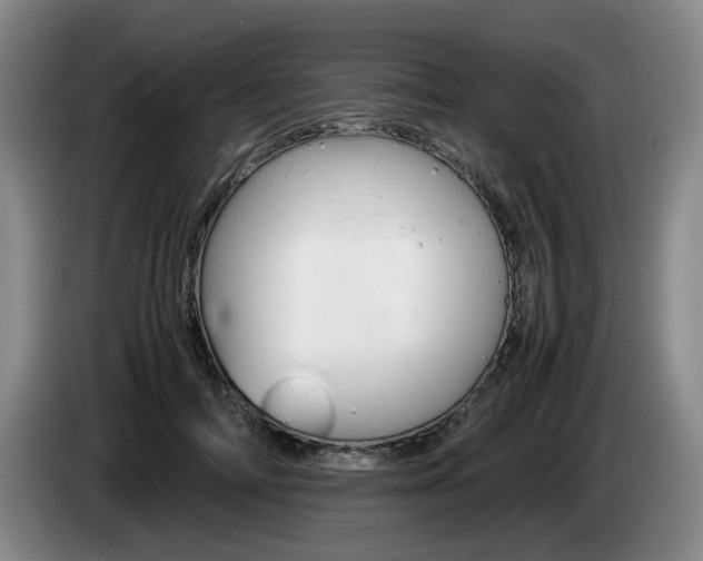 X0000085310698200703091054