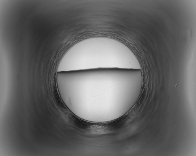X0000085310699200703091054