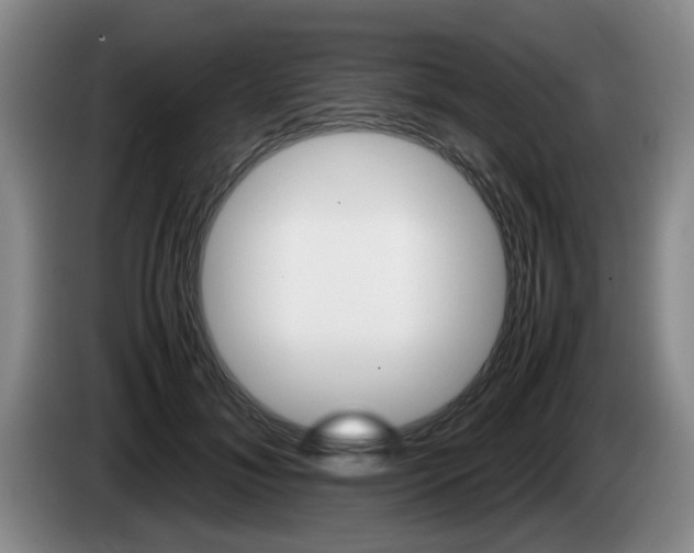 X0000085310700200703091054
