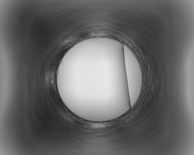 X0000085310701200703091054