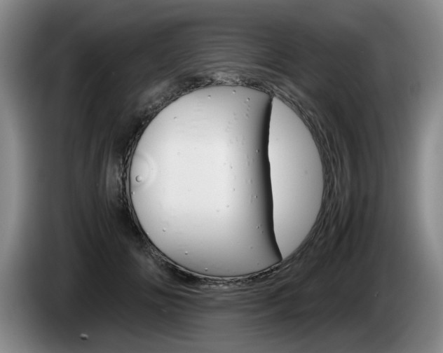 X0000085310702200703091054