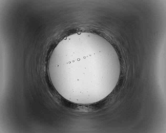 X0000085310703200703091054