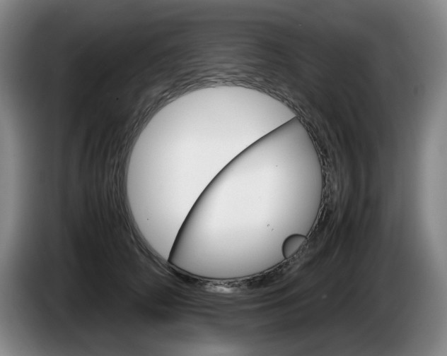X0000085310706200703091054