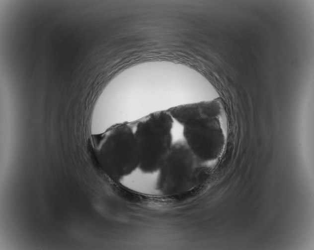 X0000085310707200703091054