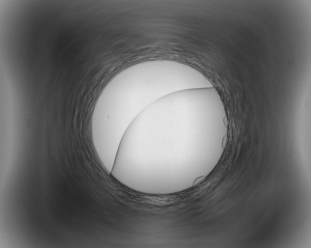 X0000085310709200703091054