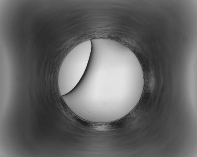 X0000085310710200703091054