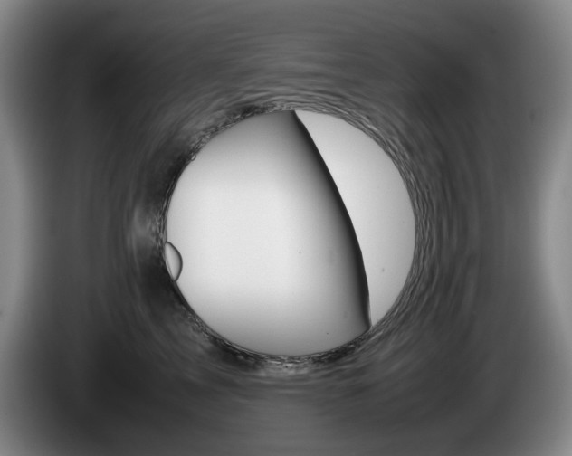 X0000085310713200703091054