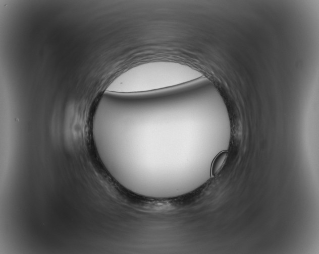 X0000085310715200703091054