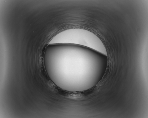 X0000085310716200703091054