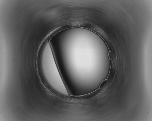 X0000085310722200703091053