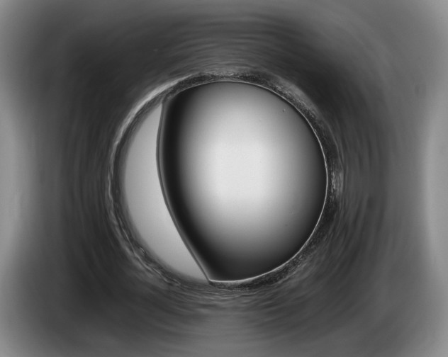 X0000085310724200703091053