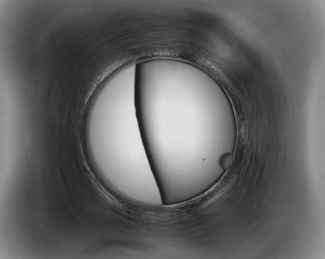 X0000085310725200703091053