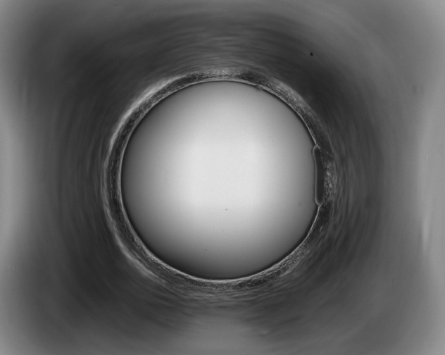 X0000085310726200703091053