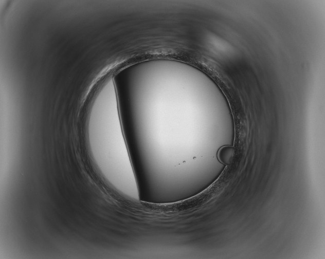 X0000085310727200703091053