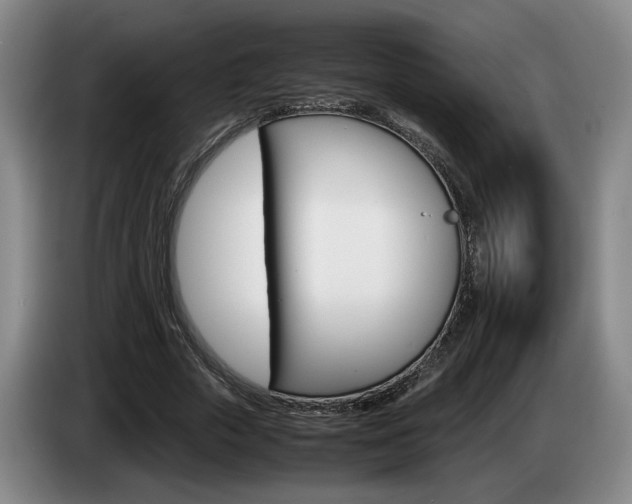 X0000085310729200703091053
