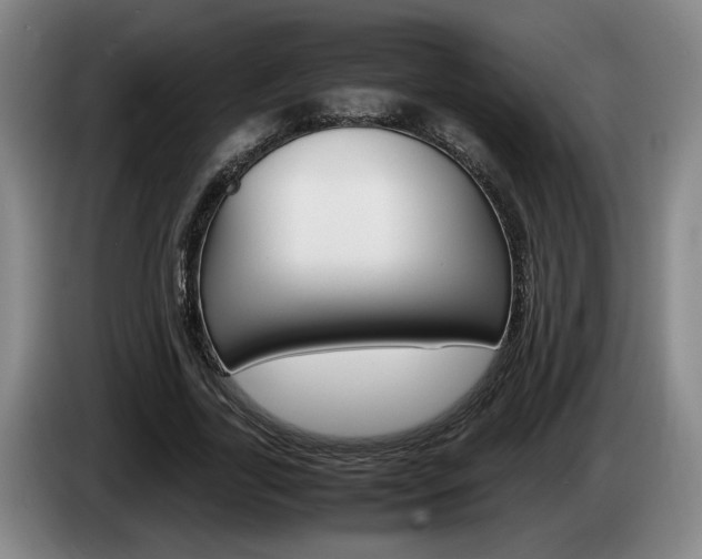 X0000085310731200703091053