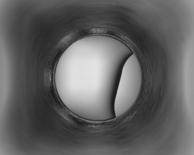 X0000085310733200703091053