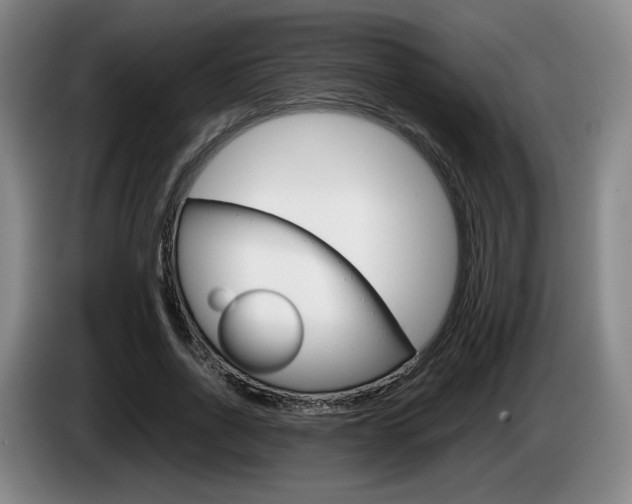 X0000085310734200703091053