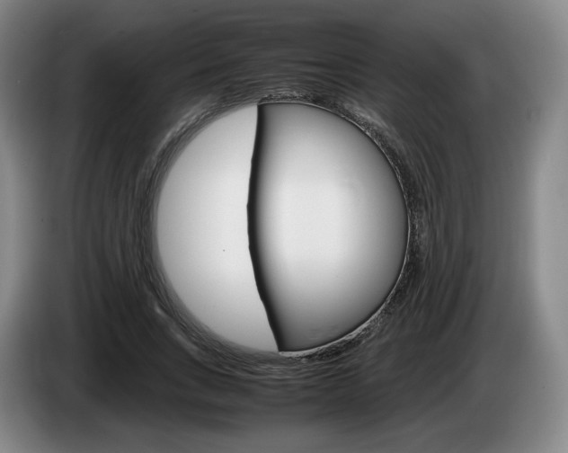 X0000085310735200703091053