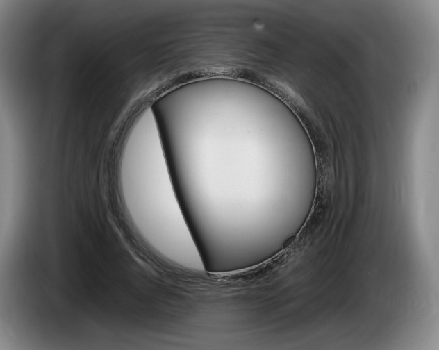 X0000085310736200703091053