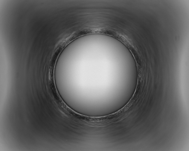 X0000085310740200703091054