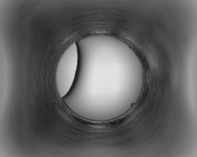 X0000085310741200703091054