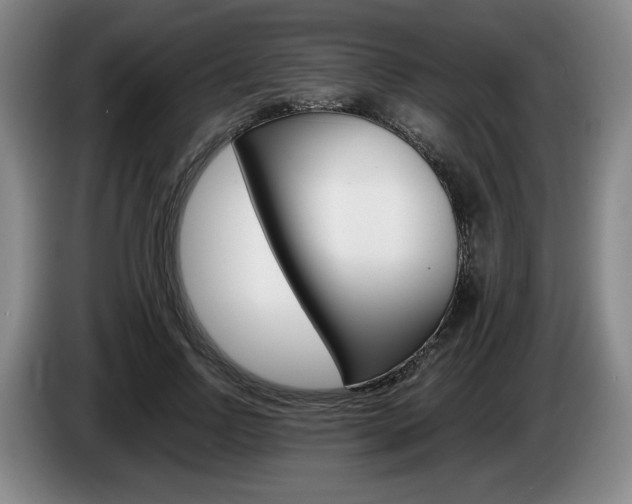 X0000085310742200703091054