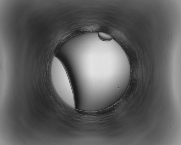 X0000085310743200703091054