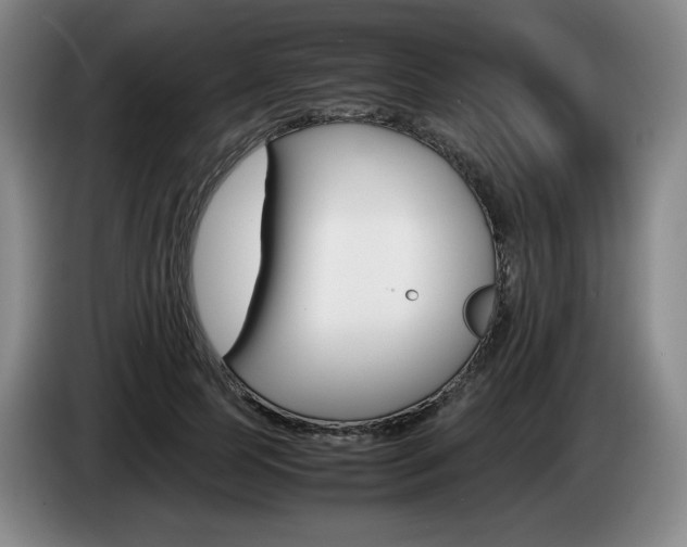 X0000085310745200703091054