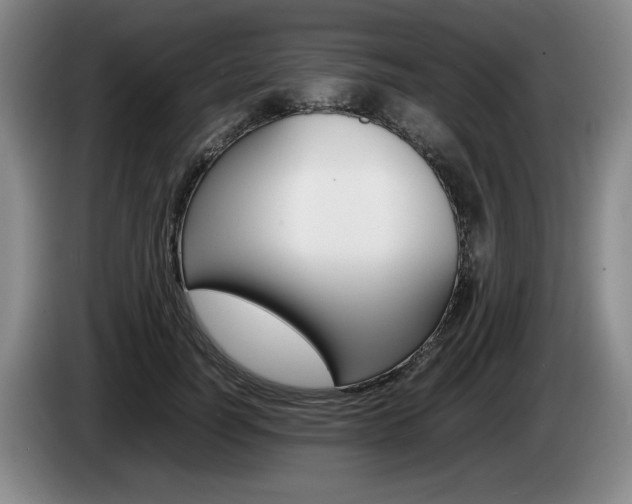 X0000085310746200703091054