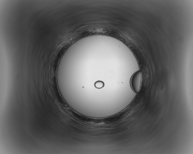 X0000085310747200703091054