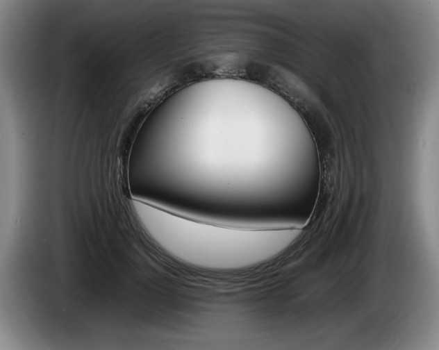 X0000085310748200703091054