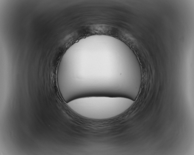 X0000085310749200703091054