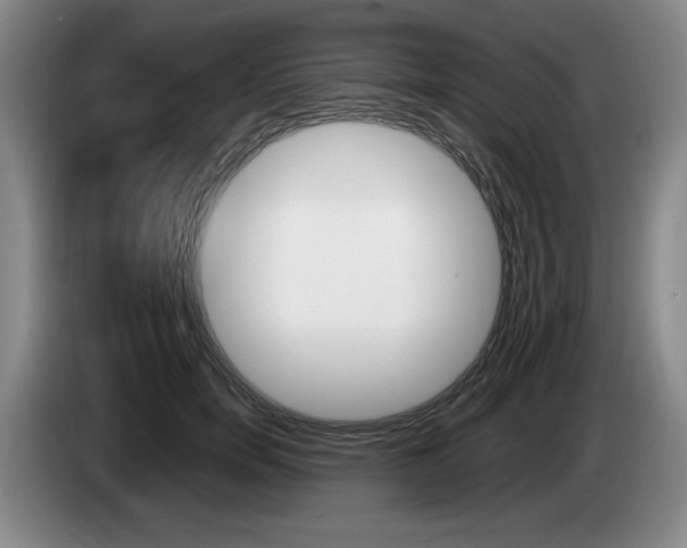 X0000085310750200703091054