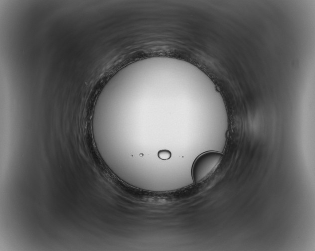 X0000085310751200703091054