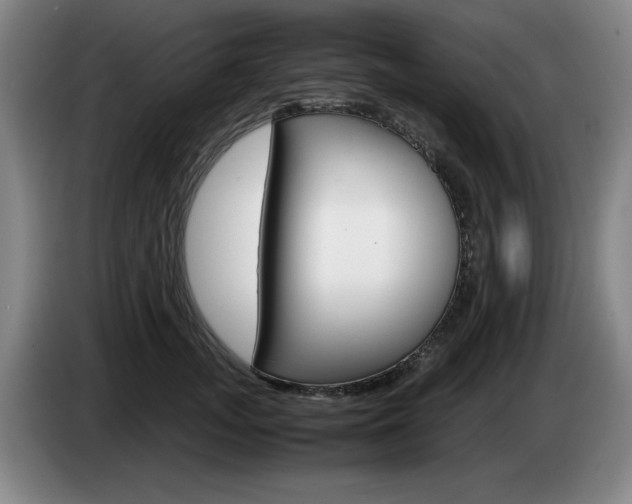 X0000085310755200703091054