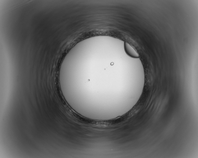 X0000085310758200703091054